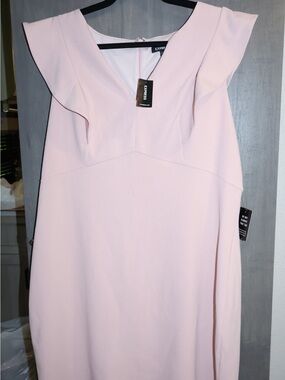 Express Pale Pink Ruffle Sleeve Mini Dress